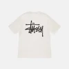 BASIC STÜSSY TEE PIGMENT DYED