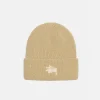 CUFF BEANIE BASIC