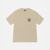 RASTA LION TEE PIGMENT DYED